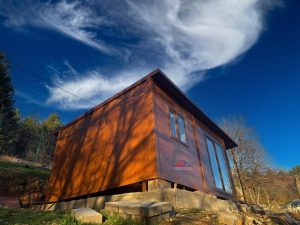 вила Диканя